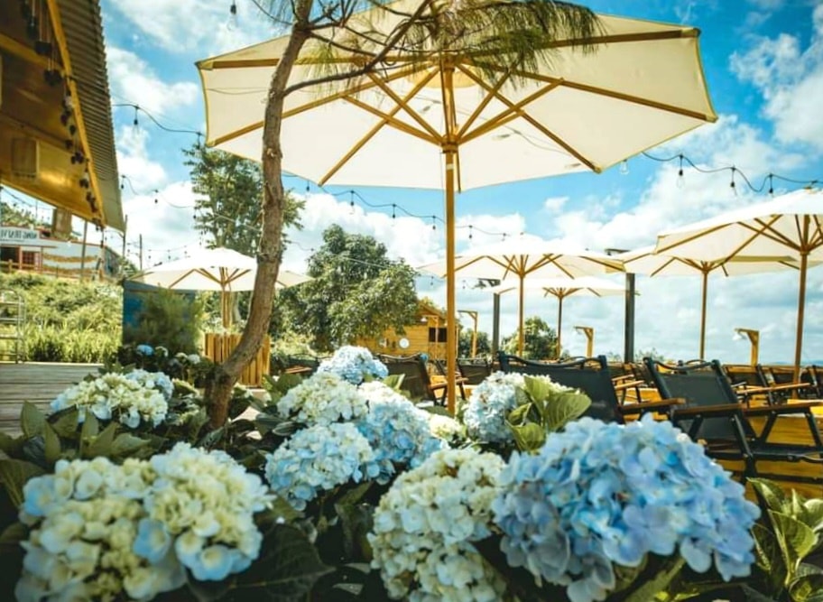 Trải nghiệm khu ăn uống và cắm trại tại Định Quán: 